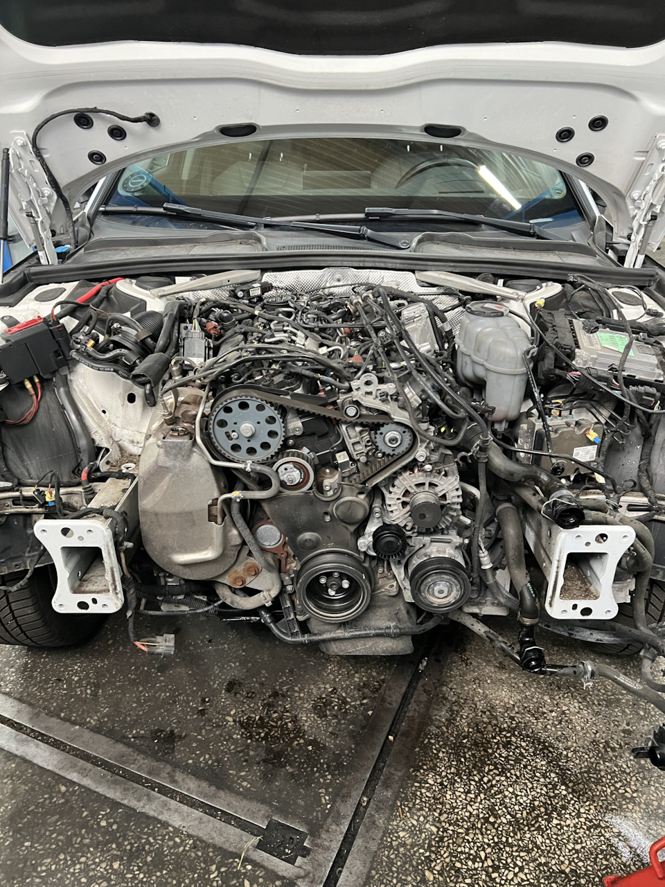Полная замена масла dl382 и не только… — Audi A4 Avant (B9), 2 л, 2019 ...