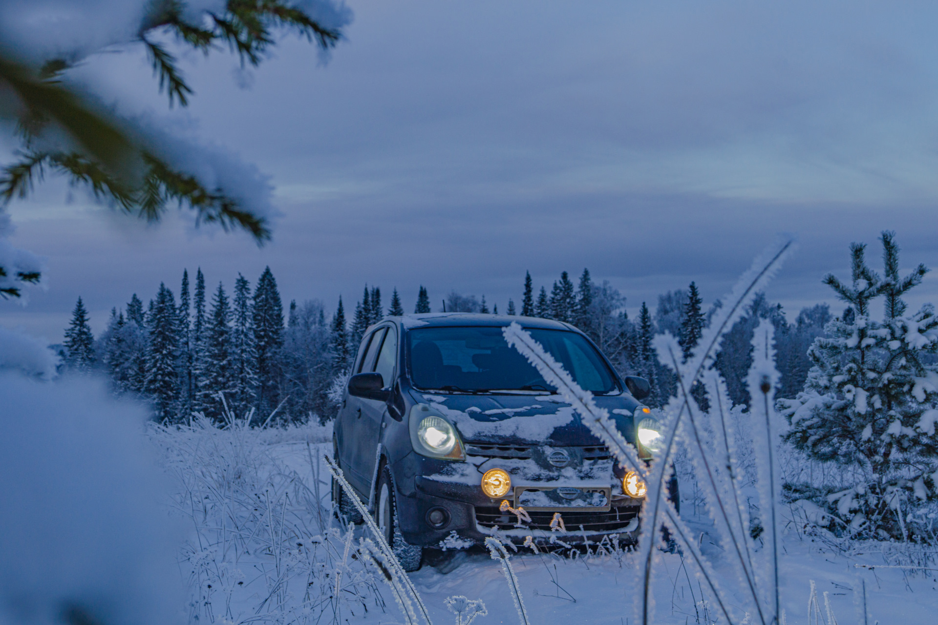 chevrolet niva зимой