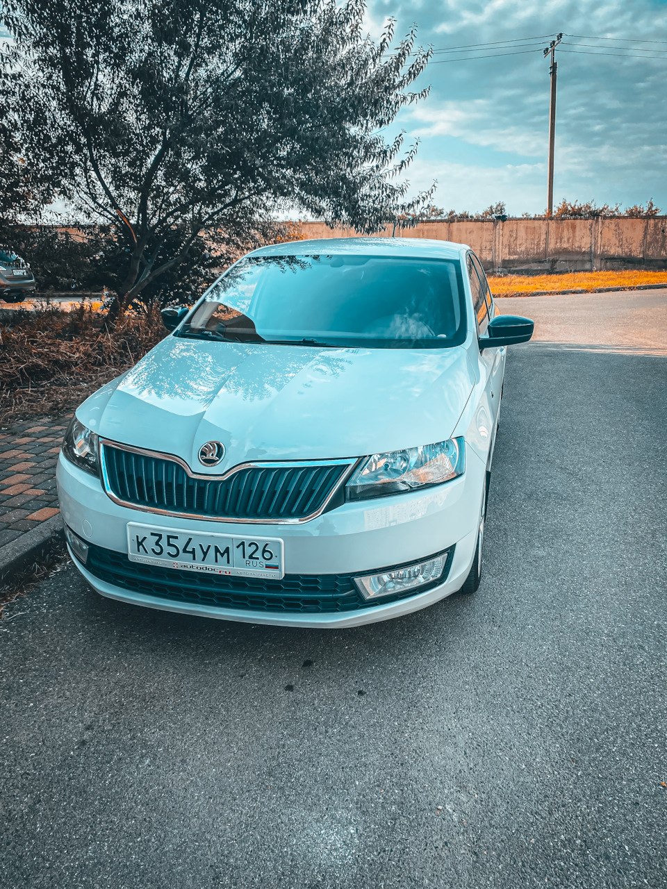 Гарри Поттер и новая подвеска: 3 000 км спустя. — Skoda Rapid (1G), 1,4 л,  2016 года | наблюдение | DRIVE2