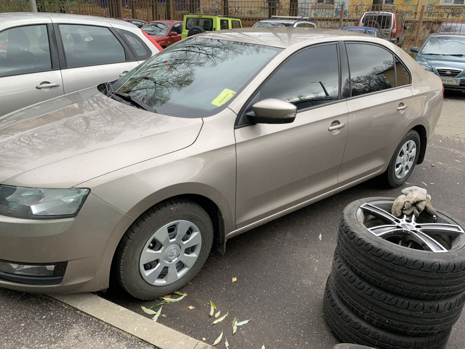 Отзыв шкода рапид. Шкода Рапид 195/65 r15
