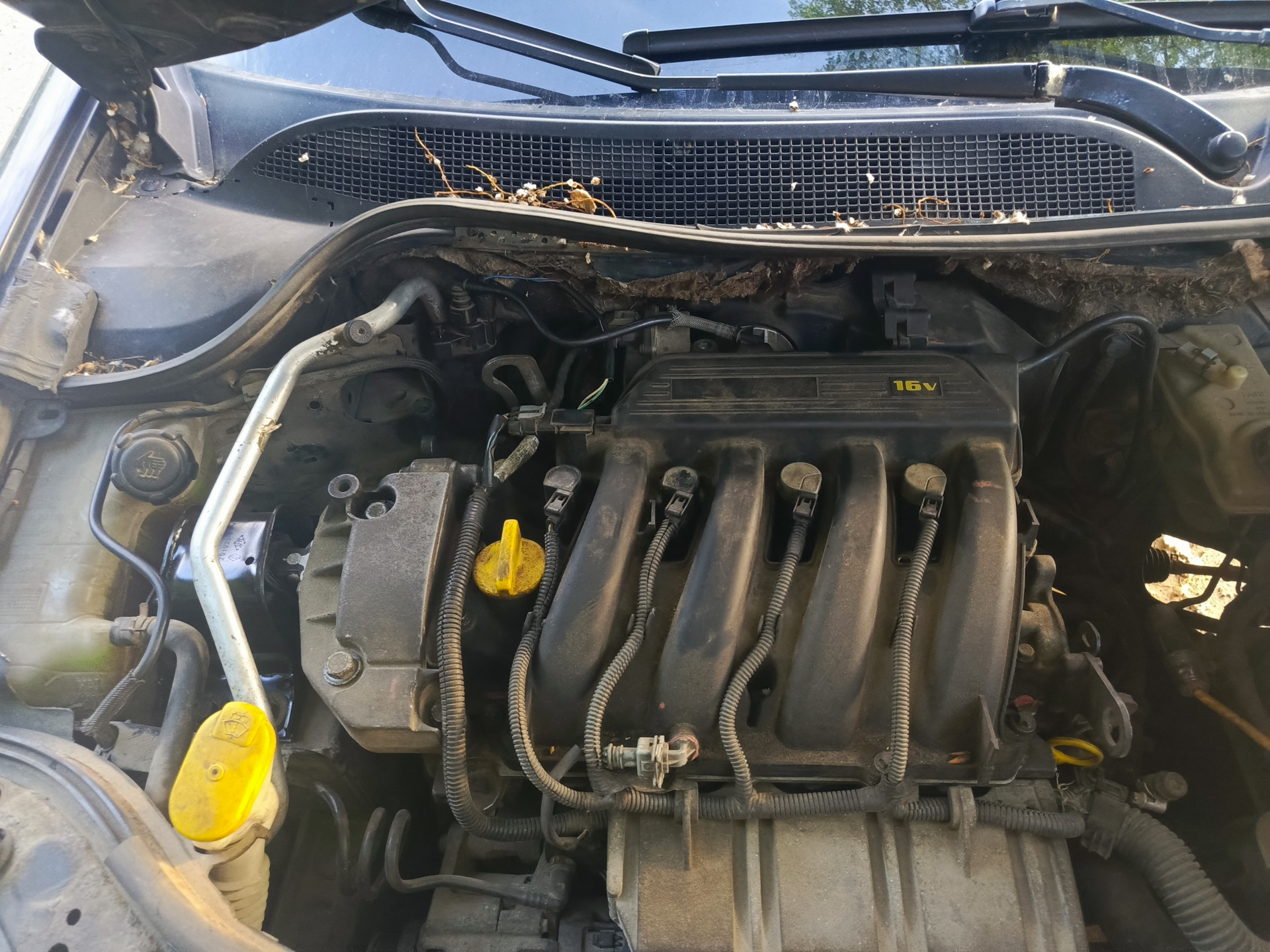 Клапан абсорбера — Renault Megane II, 1,4 л, 2004 года | поломка | DRIVE2