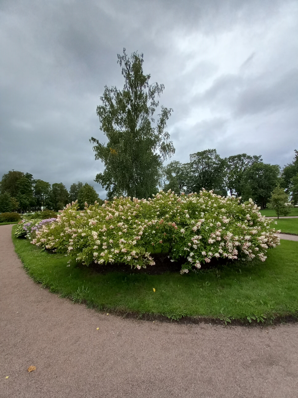 Фото в бортжурнале Renault Sandero 2G