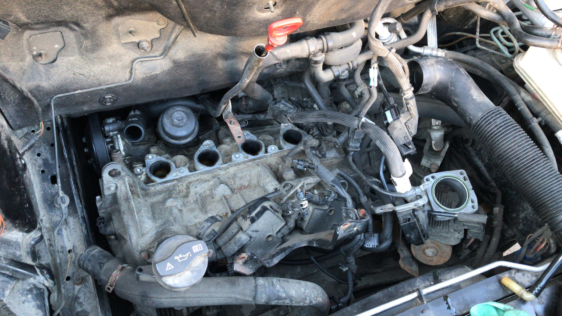 Потек корпус масляного фильтра — Mercedes-Benz B-Class (W245), 1,7 л ...