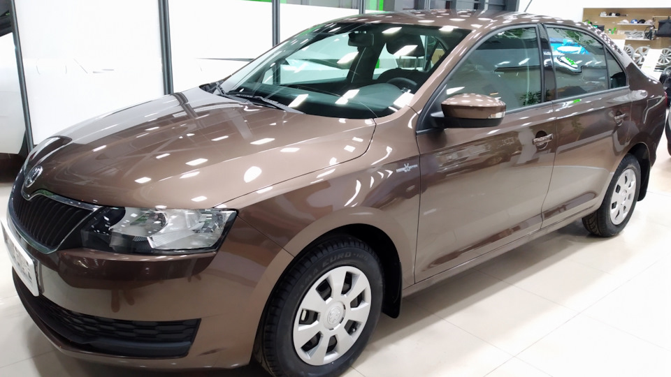 Стартер замерз? или аккум умер? а может … — Skoda Rapid (1G), 1,6 л ...