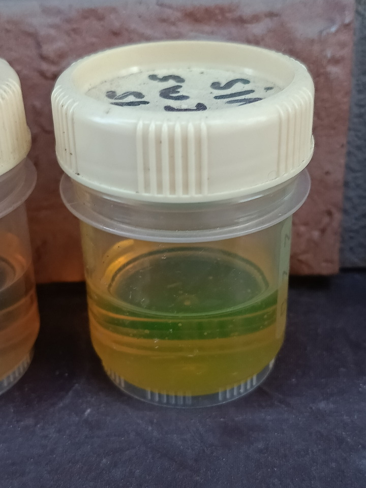 Зелёнка на морозе) — Honda Jazz (1G)