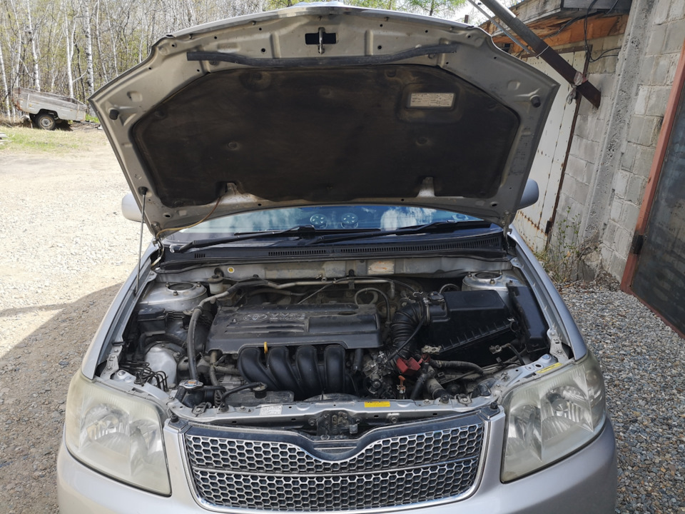 ПОДКАПОТКА — Toyota Corolla Fielder (E120), 1,8 л, 2005 года | мойка ...