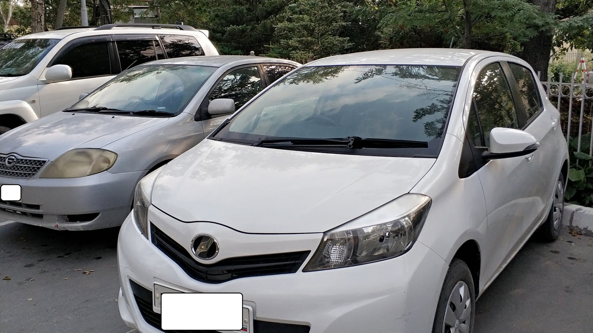 Toyota Vitz 130