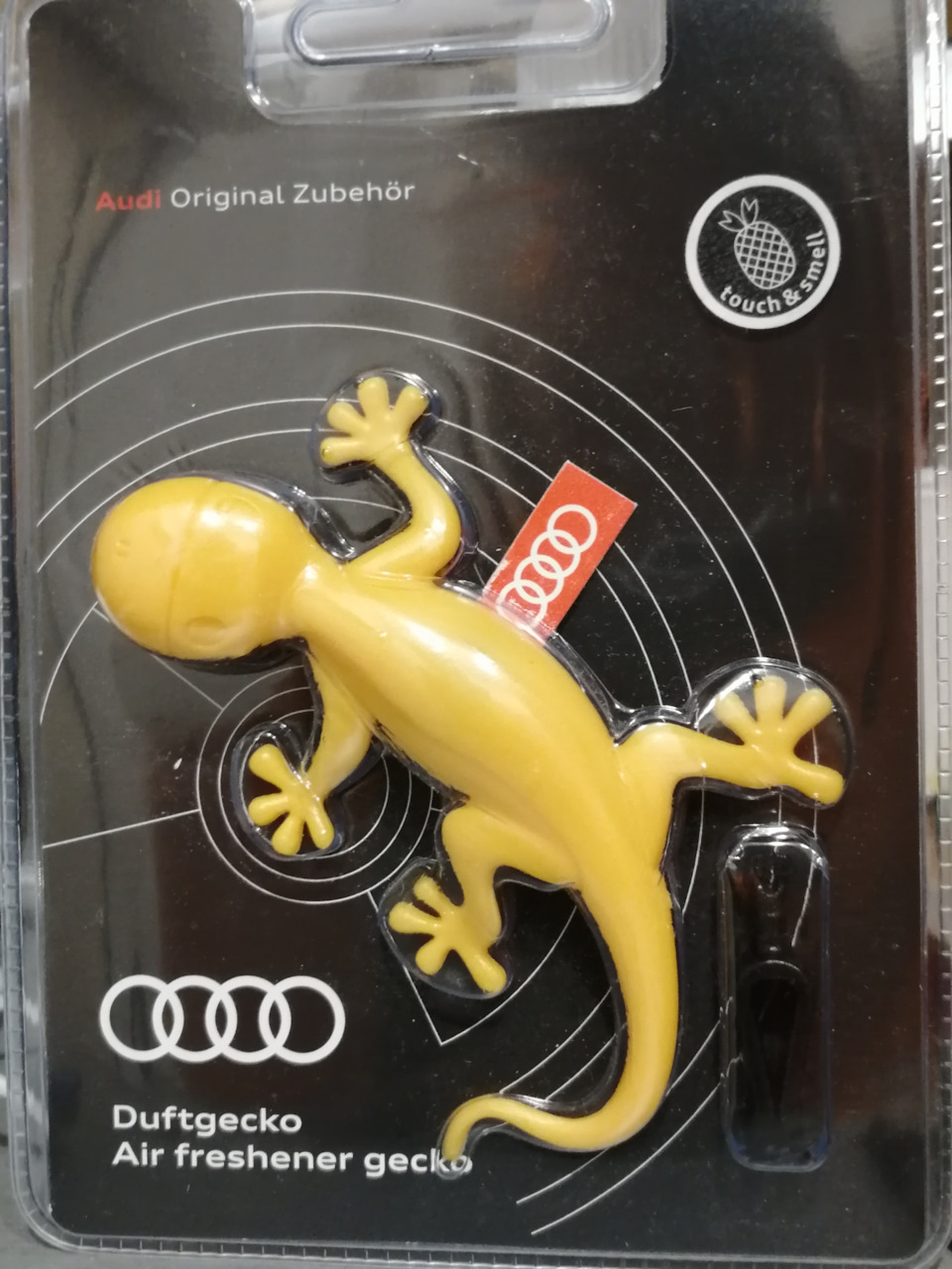 Геккон на месте — Audi Q5 (1G), 2 л, 2010 года | аксессуары | DRIVE2