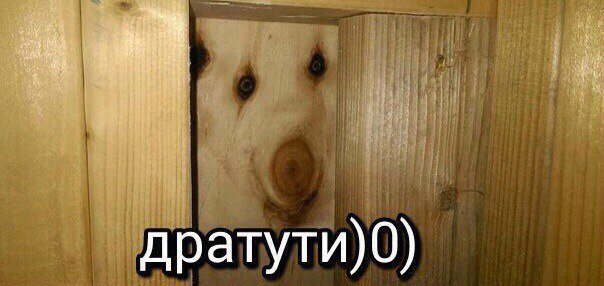 TyAAAgKrcuA-960.jpg