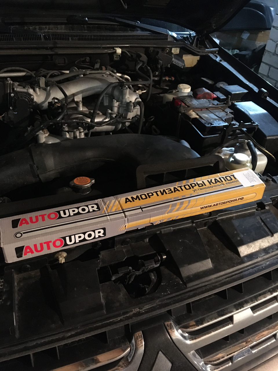 Газовые упоры капота и уплотнительная резинка капота — Mitsubishi ...