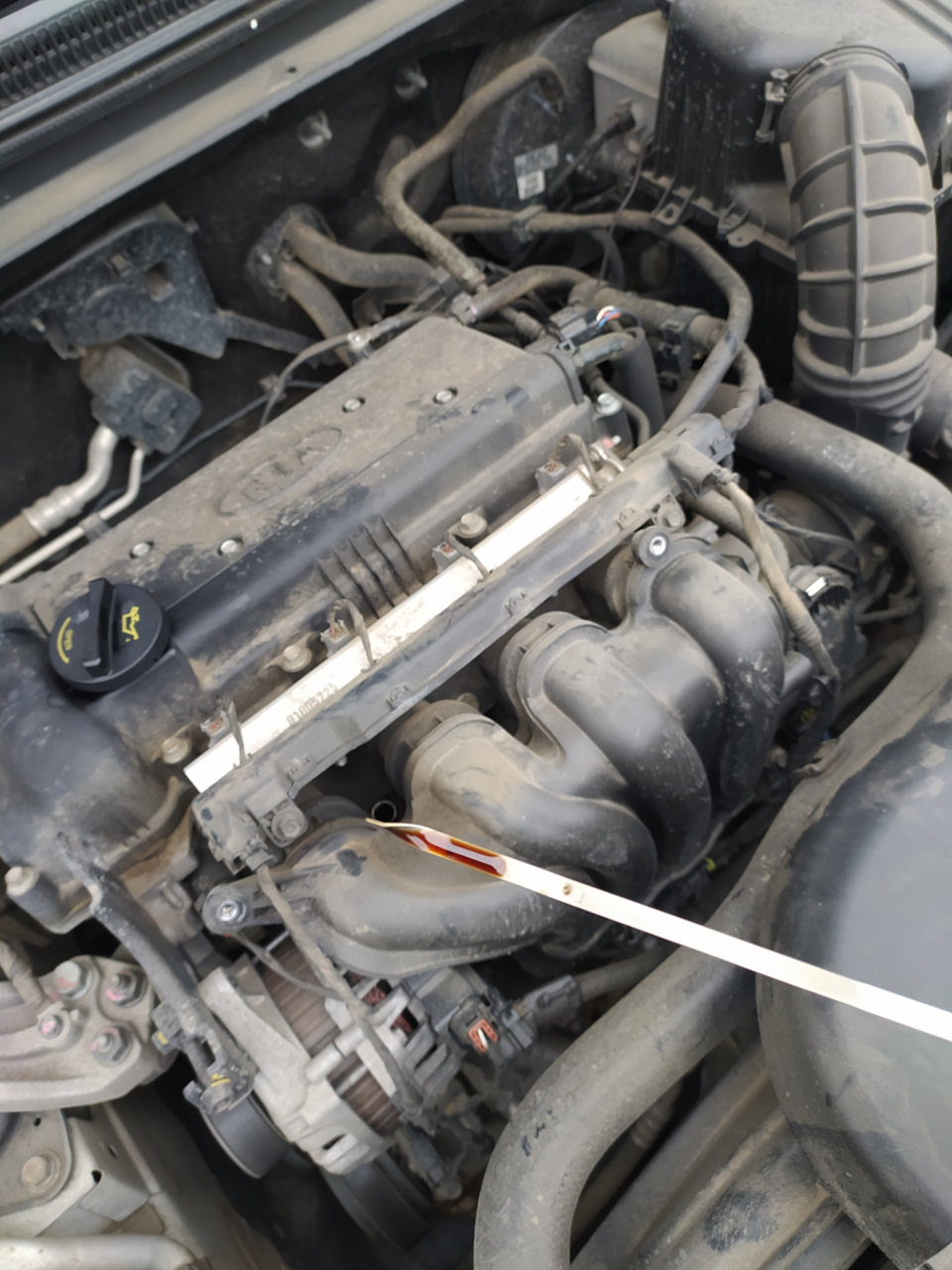 Tz1ZvUxchXqCVE 6k8RGWdyqClY 960 ΠΠ°ΠΊ ΠΎΡΠΊΡΡΡΠΈΡΡ ΠΊΡΡΡΠΊΡ ΠΌΠ°ΡΠ»ΠΎΠ·Π°Π»ΠΈΠ²Π½ΠΎΠΉ Π³ΠΎΡΠ»ΠΎΠ²ΠΈΠ½Ρ