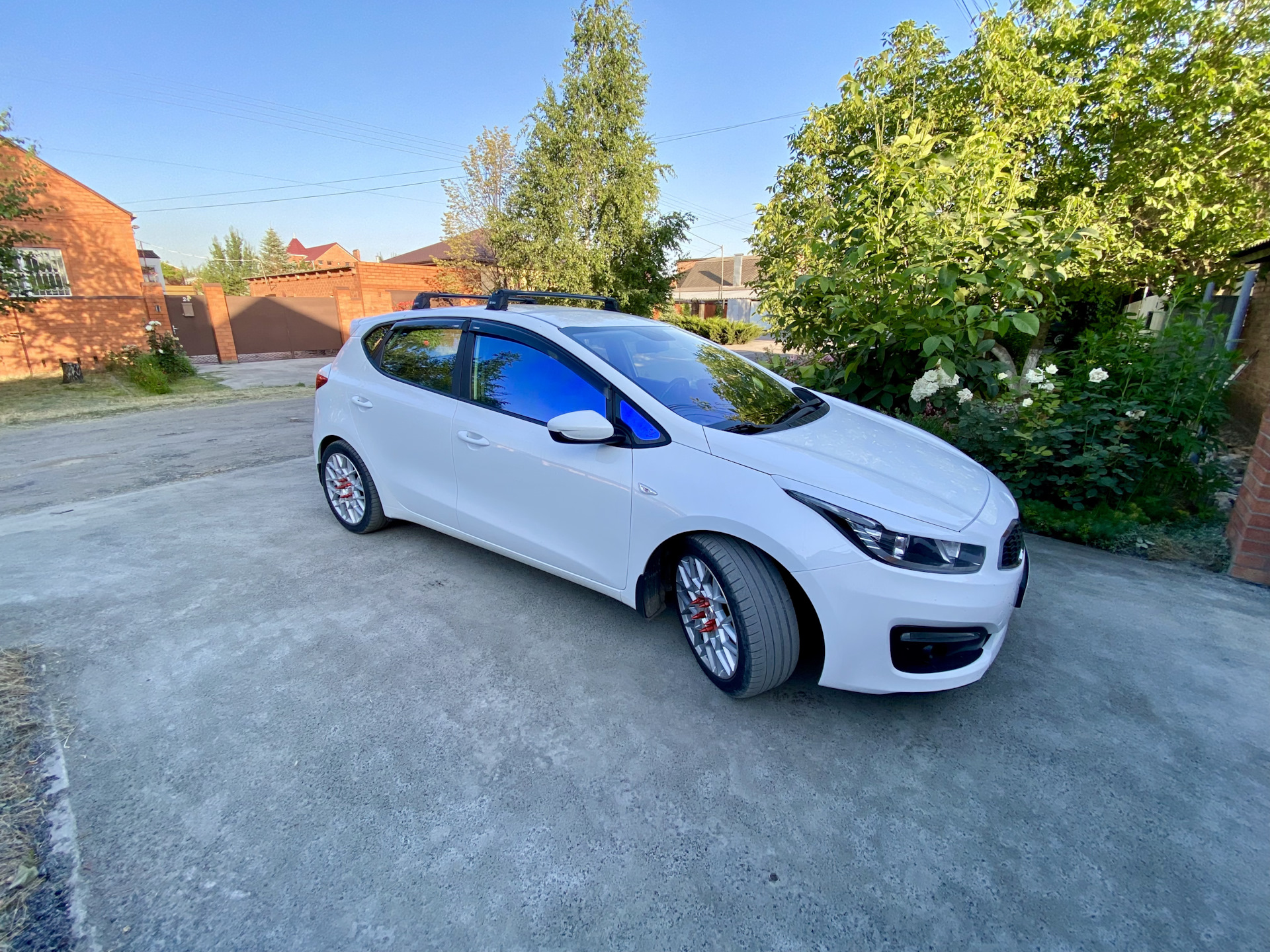 Kia Ceed хамелеон