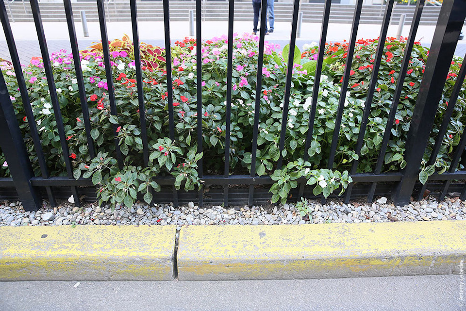 Фото в бортжурнале KIA Rio 5-door (3G)