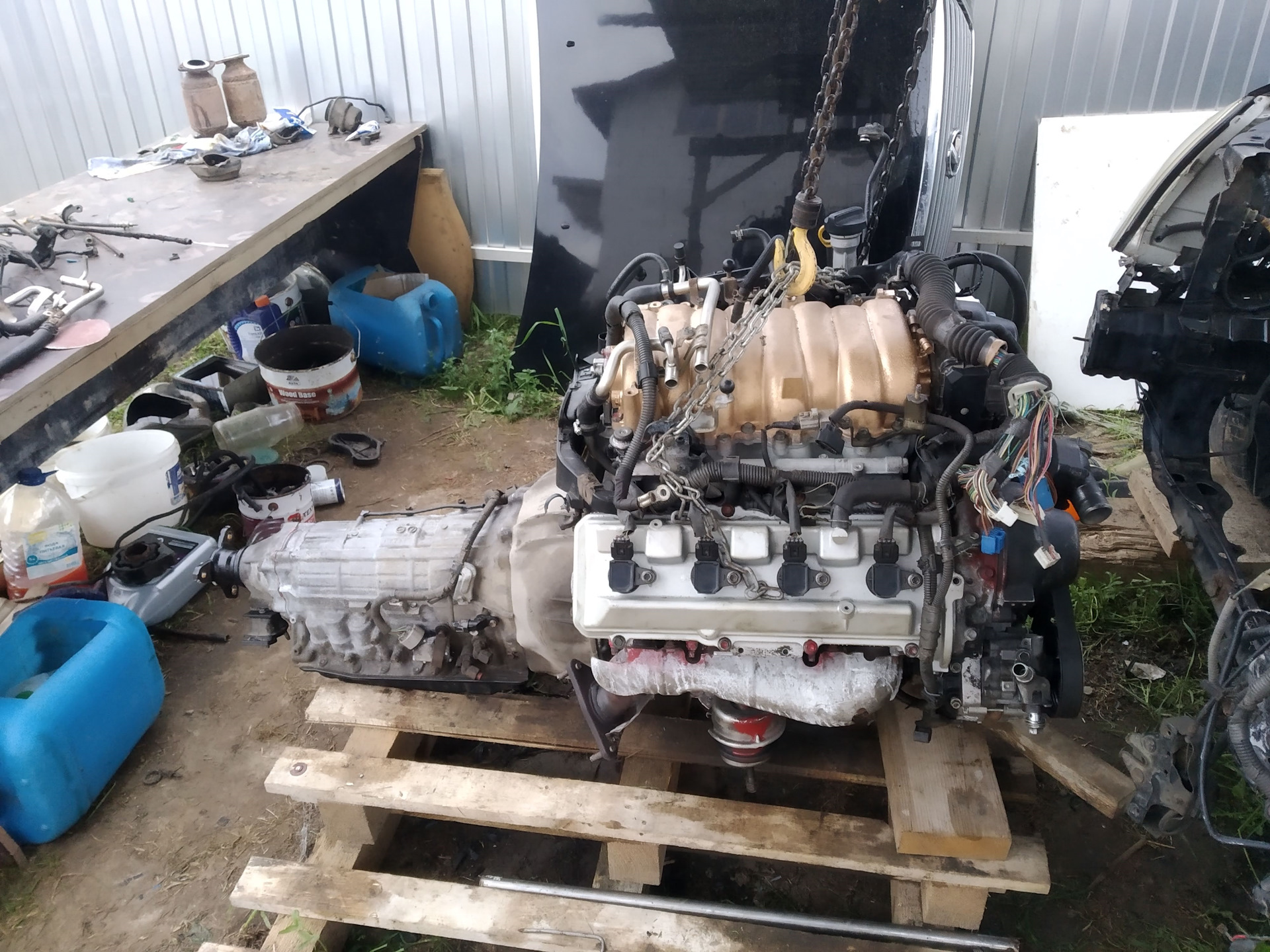 Такая корова нужна самому) — Lexus LS (UCF30), 4,3 л, 2004 года ...