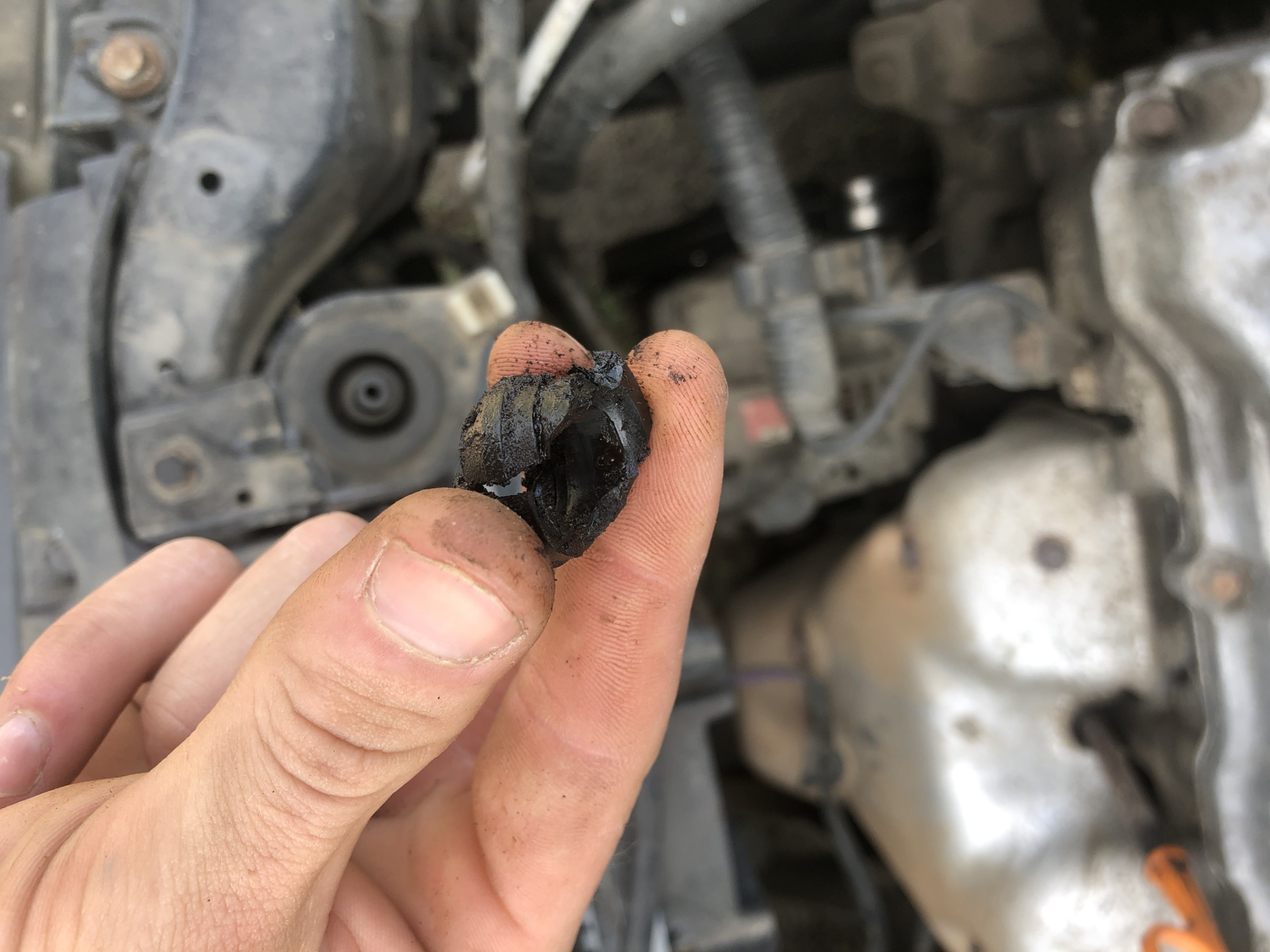 Замена клапана вентиляции картерных газов — Nissan Primera (P12), 1,8 л ...