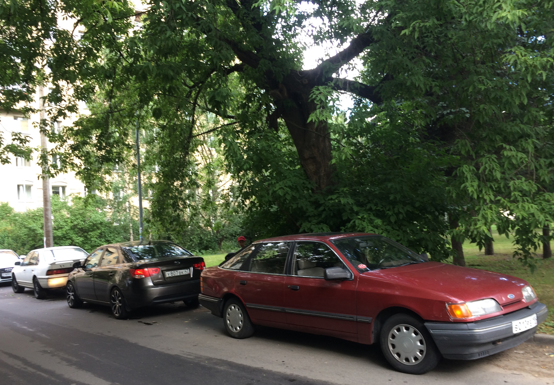 Регулировка клапанов — Ford Scorpio I, 2 л, 1985 года | визит на сервис ...