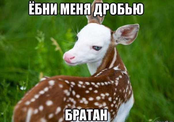 U4nGG5wPQ7u5PiZqExxeerbQFIE-960.jpg