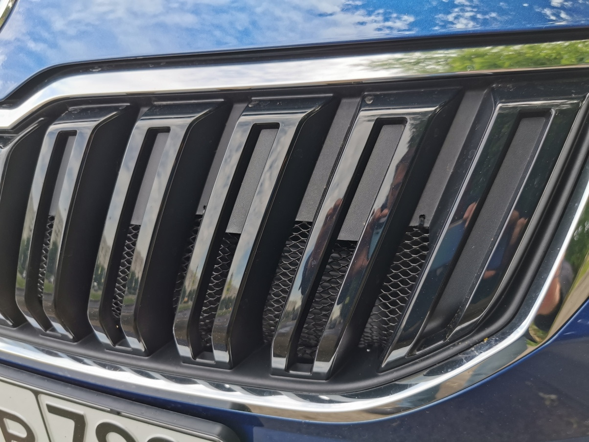 Mavi Dostum — немного допов от дилера — Skoda Karoq, 1,4 л, 2021 года ...