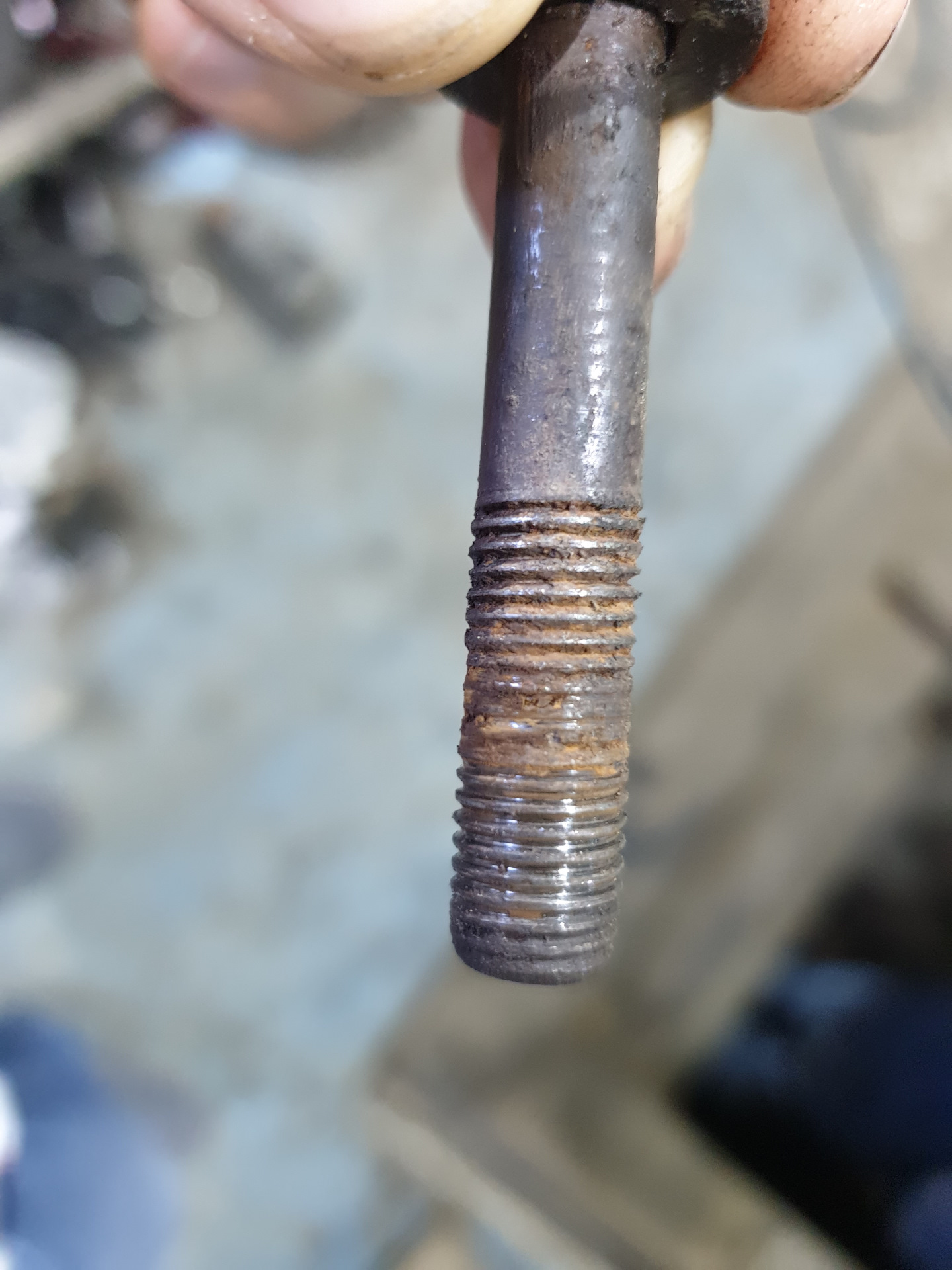 Установка задних проставок 30mm (Алюминий), замена чашек — Toyota Raum ...