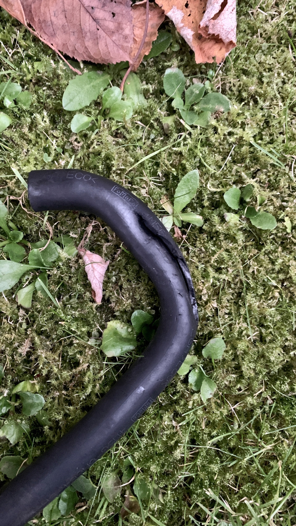 Замена шланга вентиляции картерных газов (клапана PCV) — Ford Focus II ...