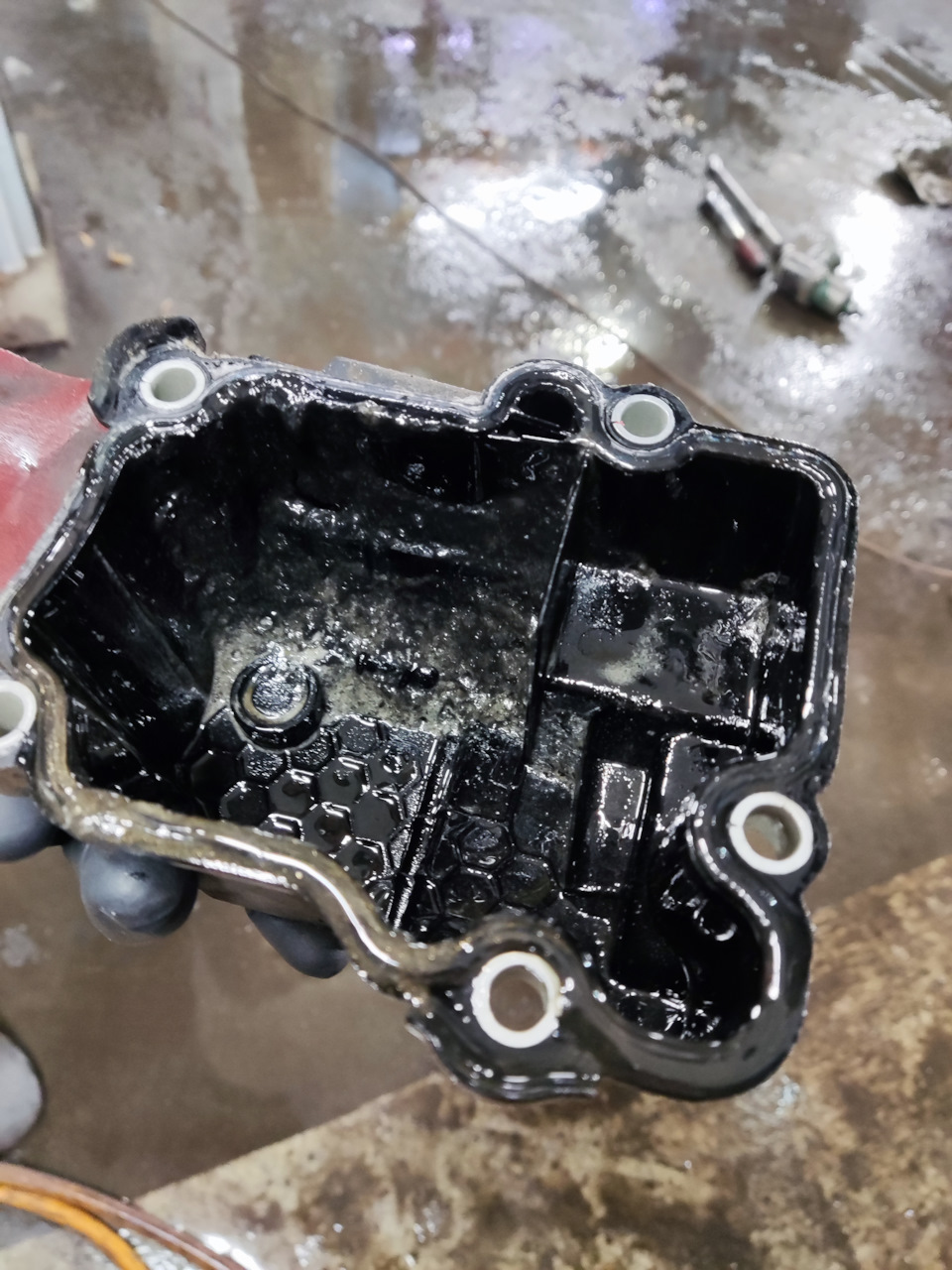 Фото в бортжурнале Jaguar E-Pace