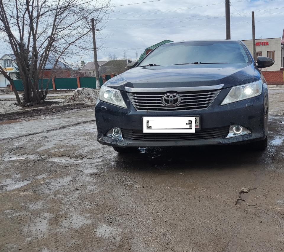 Ангельские глазки с ПТФ — Toyota Camry (XV50), 2,5 л, 2012 года ...