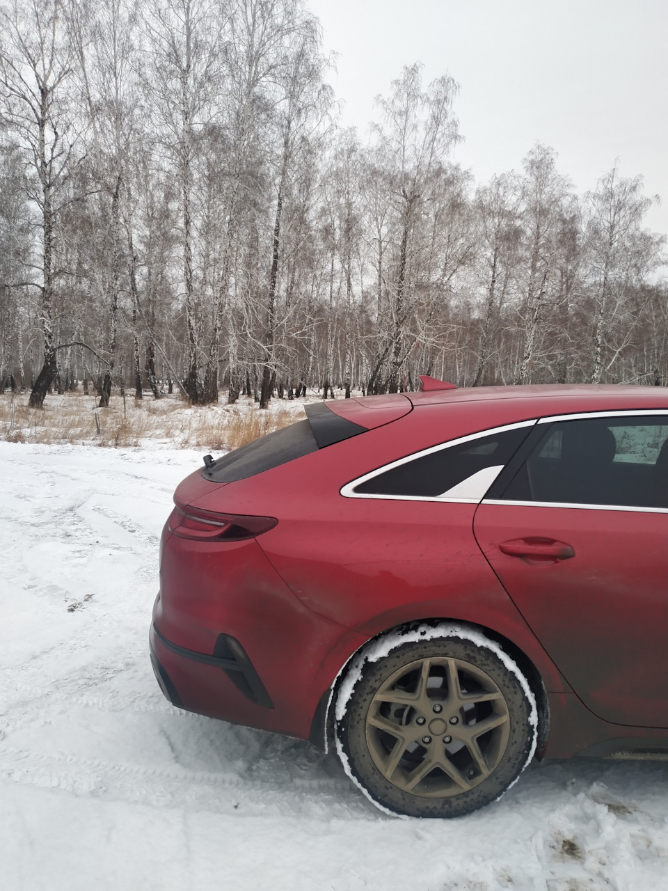 Всё как у людей — KIA Proceed, 1,4 л, 2019 года | прикол | DRIVE2