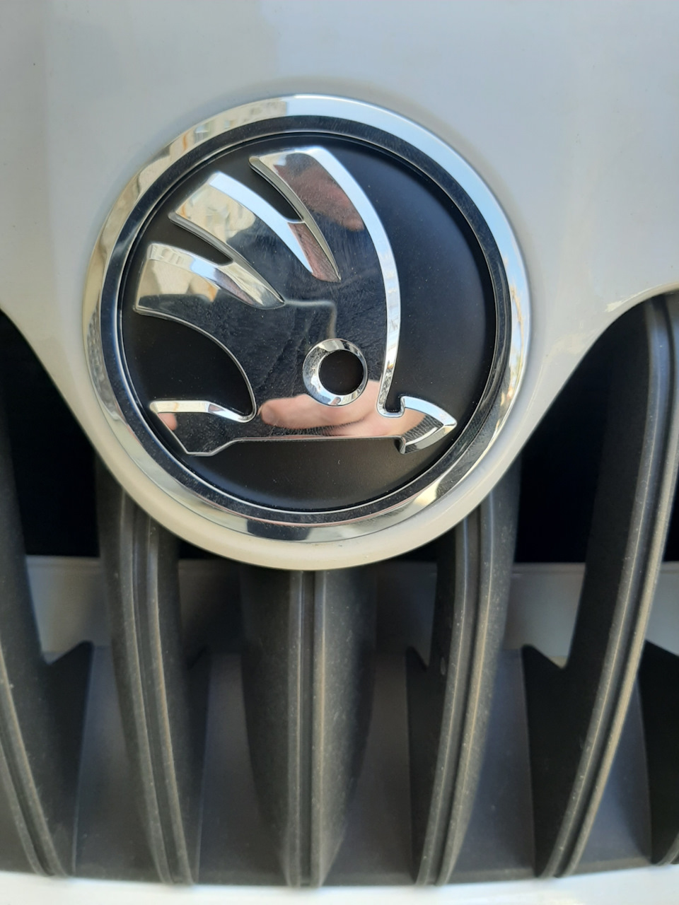 Эмблемы — Skoda Octavia A5 Mk2, 1,8 л, 2011 года | аксессуары | DRIVE2