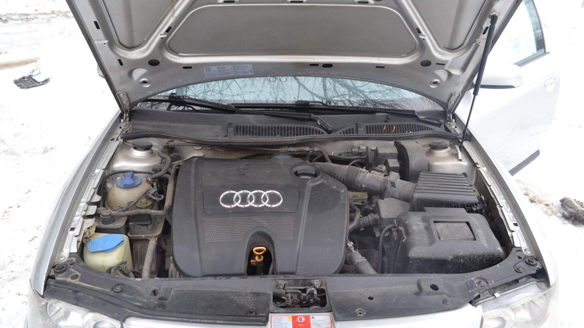 Audi A3 (8L) 1.6 бензиновый 2001 | 1,6 AVU с акпп FDH 01М на DRIVE2