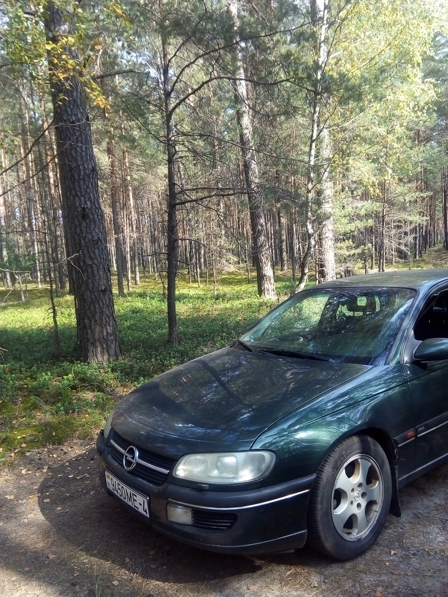 Про новую подвеску и лес… — Opel Omega B, 2 л, 1999 года | наблюдение |  DRIVE2