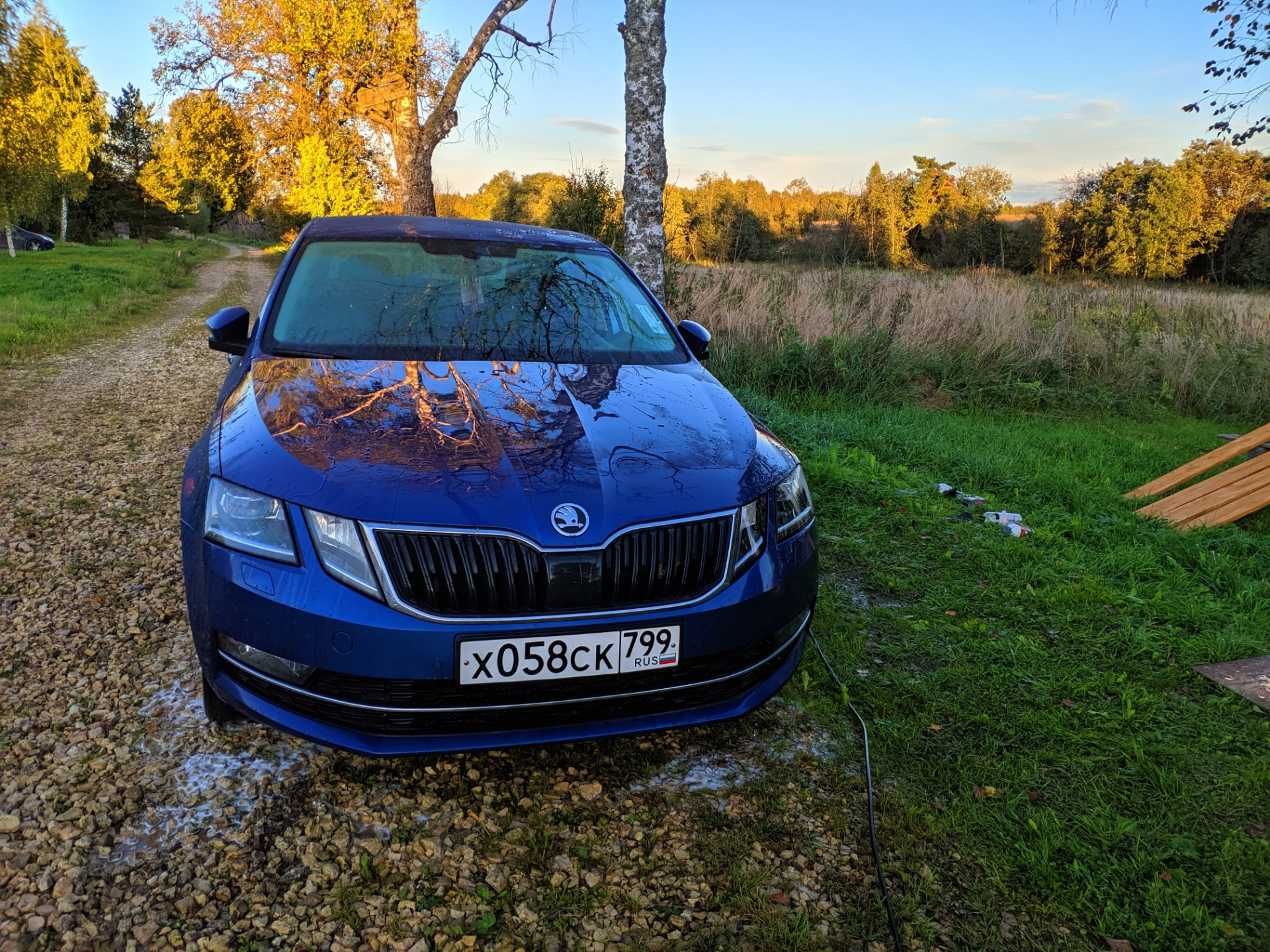 Skoda Rapid синий Reef