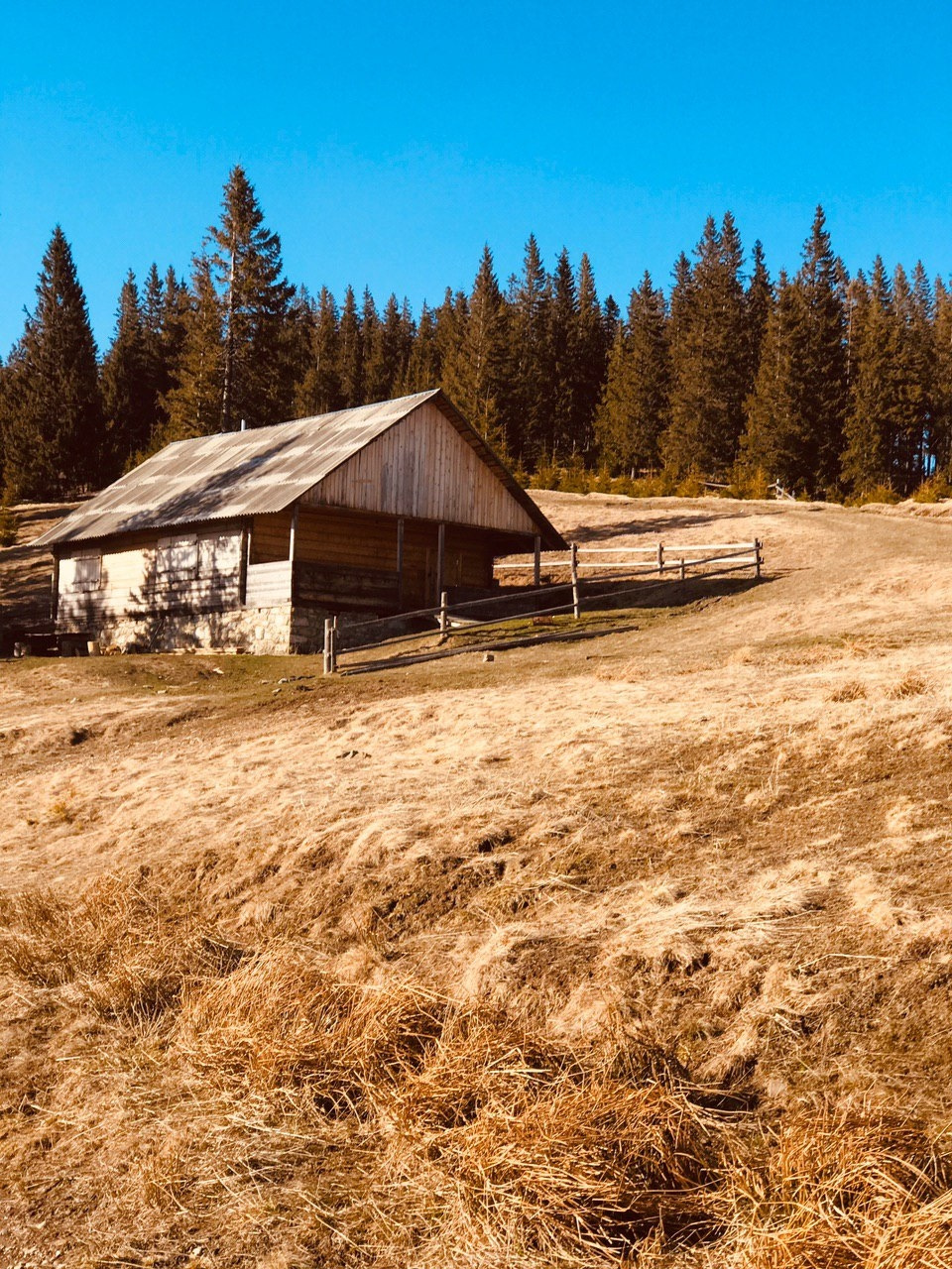 Карпаты деревни в горах