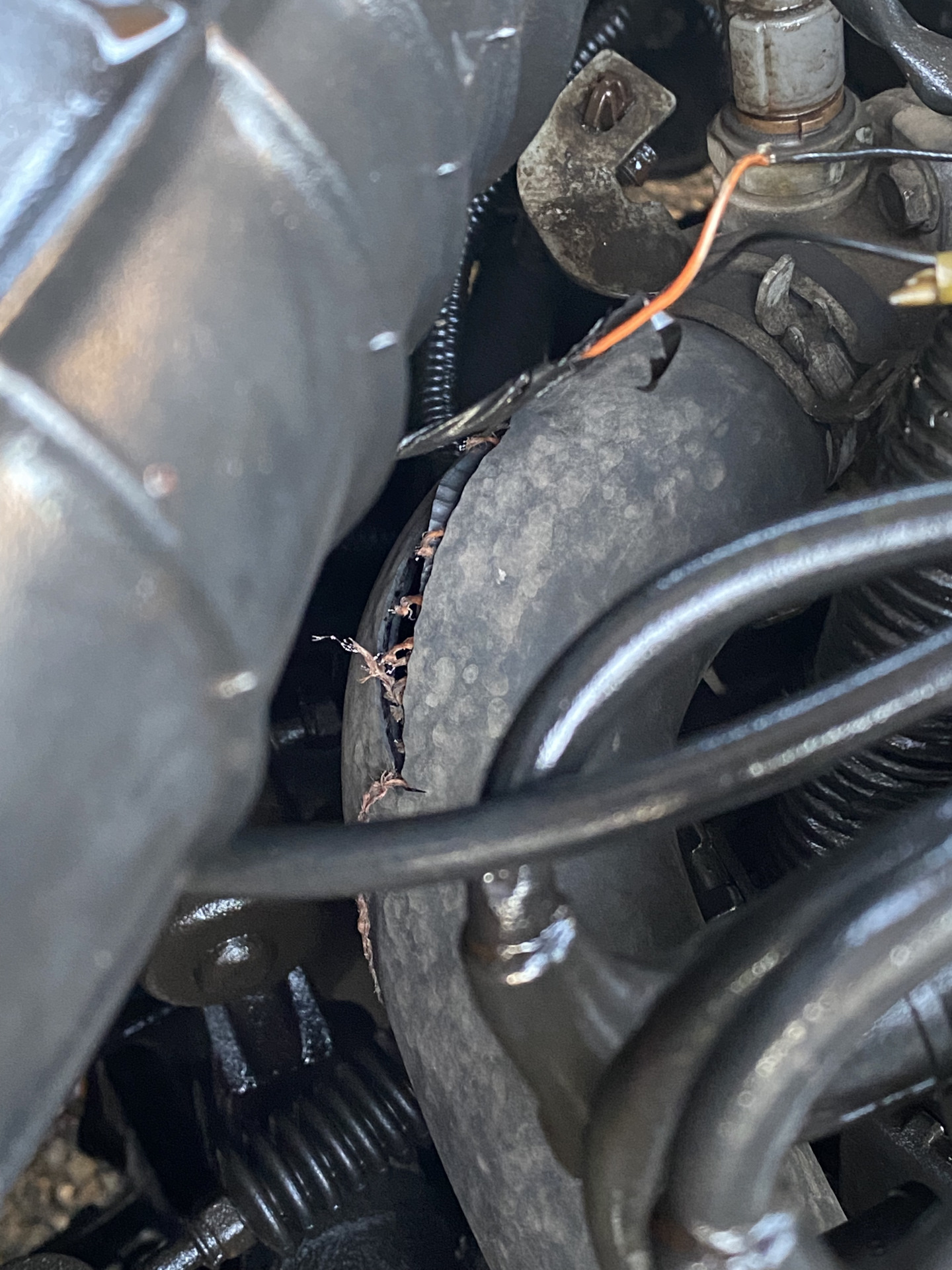 15 🔰 — Нижний патрубок — Honda Torneo, 1,8 л, 1998 года | расходники ...