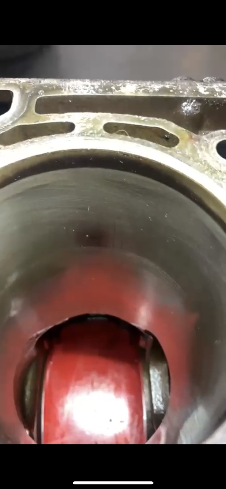 Фото в бортжурнале SEAT Altea Freetrack