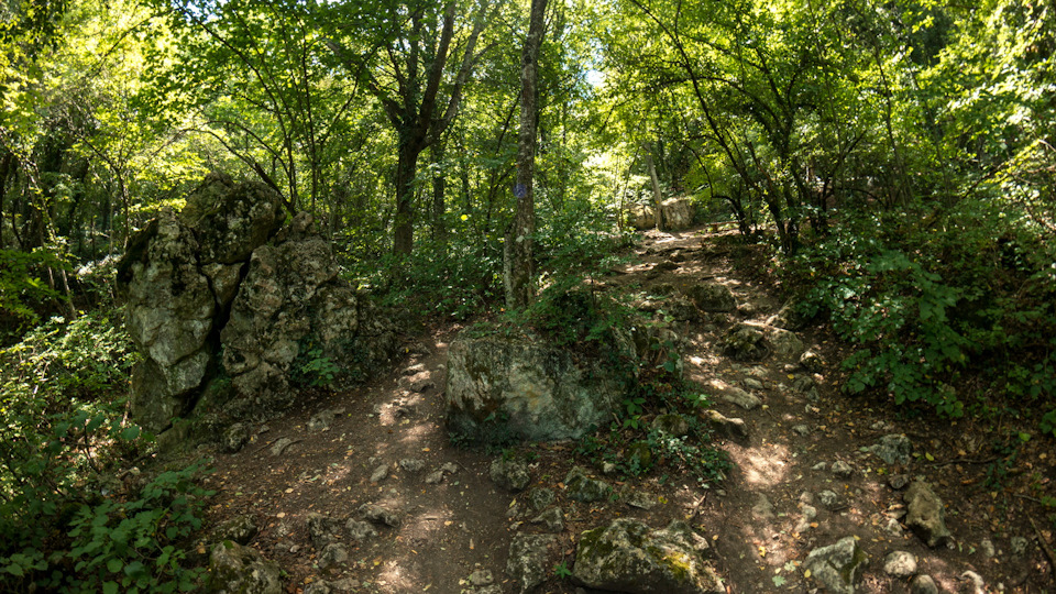 Замена всей подвески+ передние колодки+ DCC (адаптивная подвеска ...