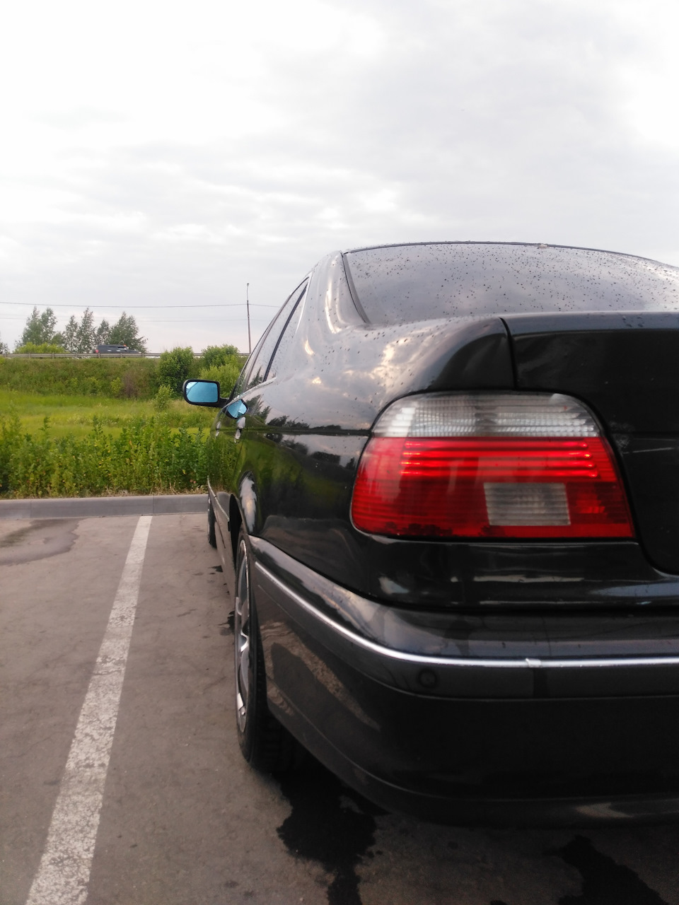 Фото в бортжурнале BMW 5 series (E39)