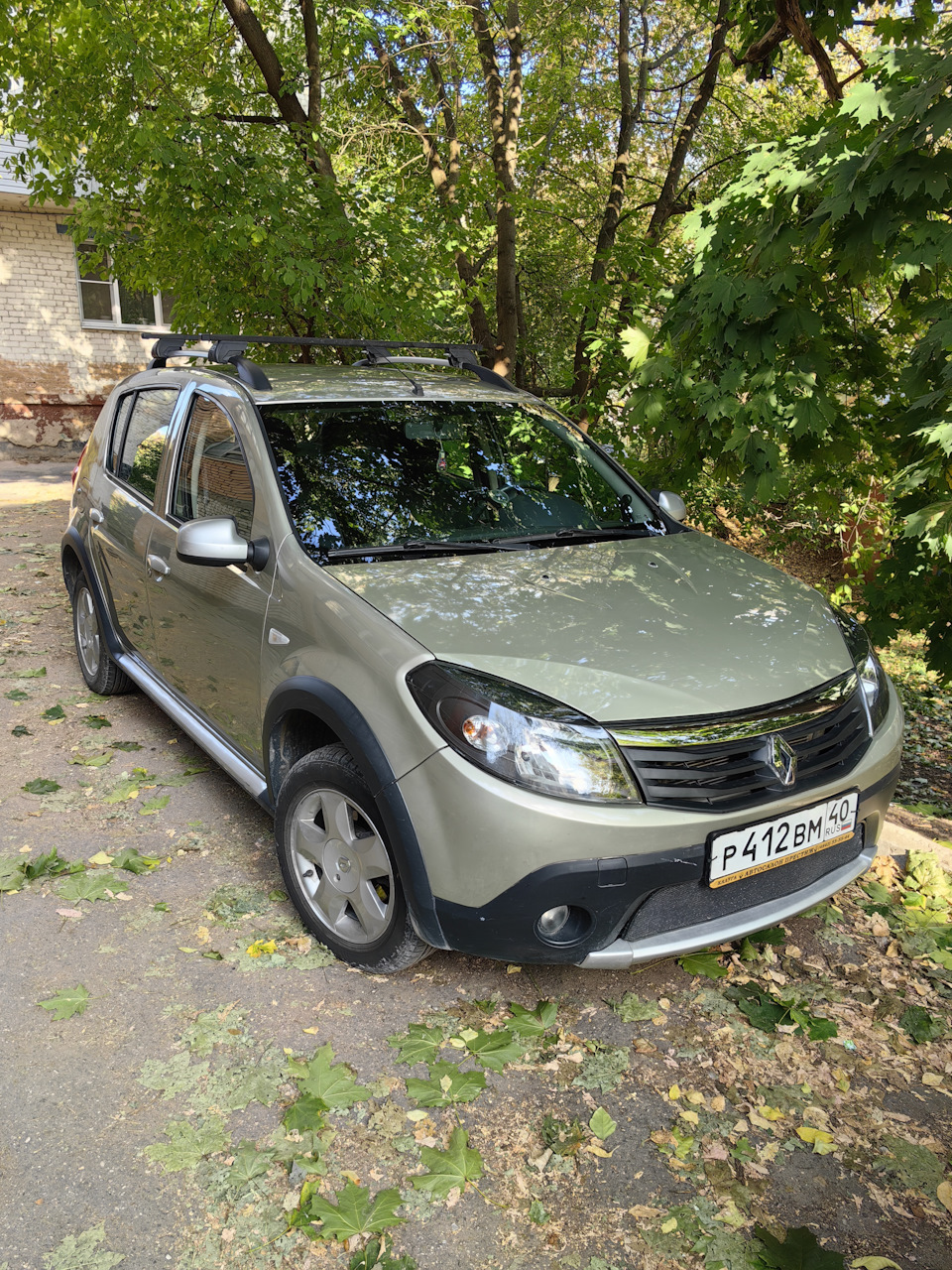 Первые 10 тыс.за спиной — Renault Sandero Stepway (1G), 1,6 л, 2013 года |  наблюдение | DRIVE2