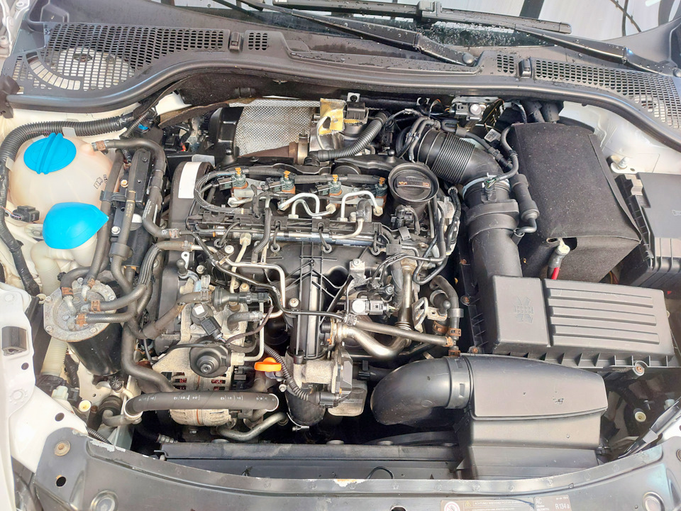 Помыл двигатель — Skoda Octavia Combi A5 Mk2, 2 л, 2013 года | мойка ...