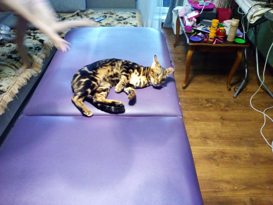 Фото в бортжурнале Mercedes-Benz E-Class (W210)