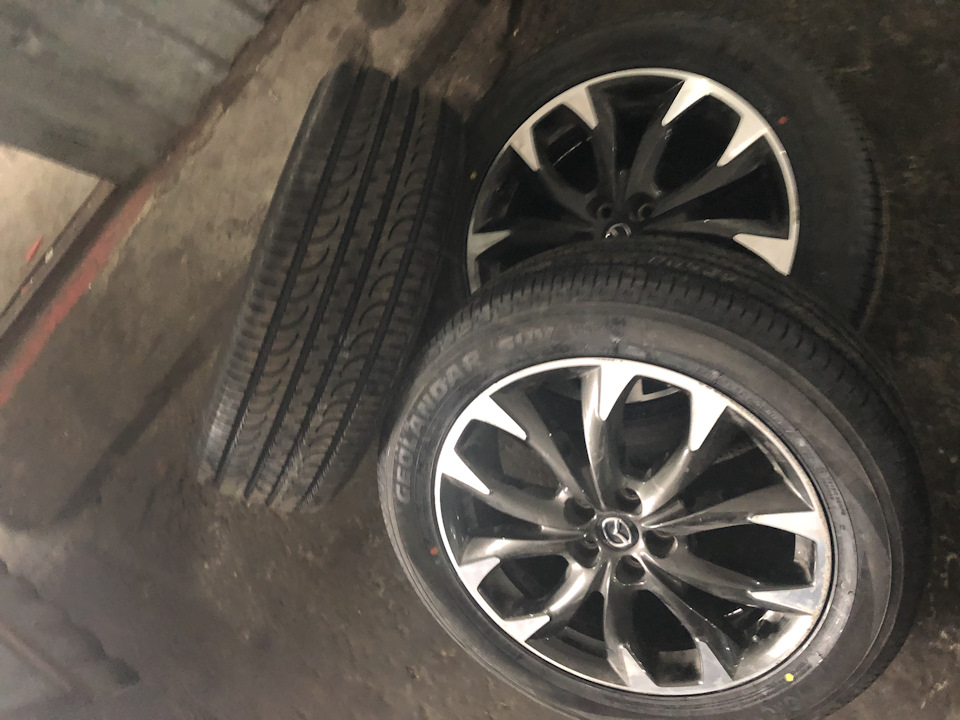 Резина на лето R19 — Mazda CX-5 (1G), 2 л, 2015 года | шины | DRIVE2