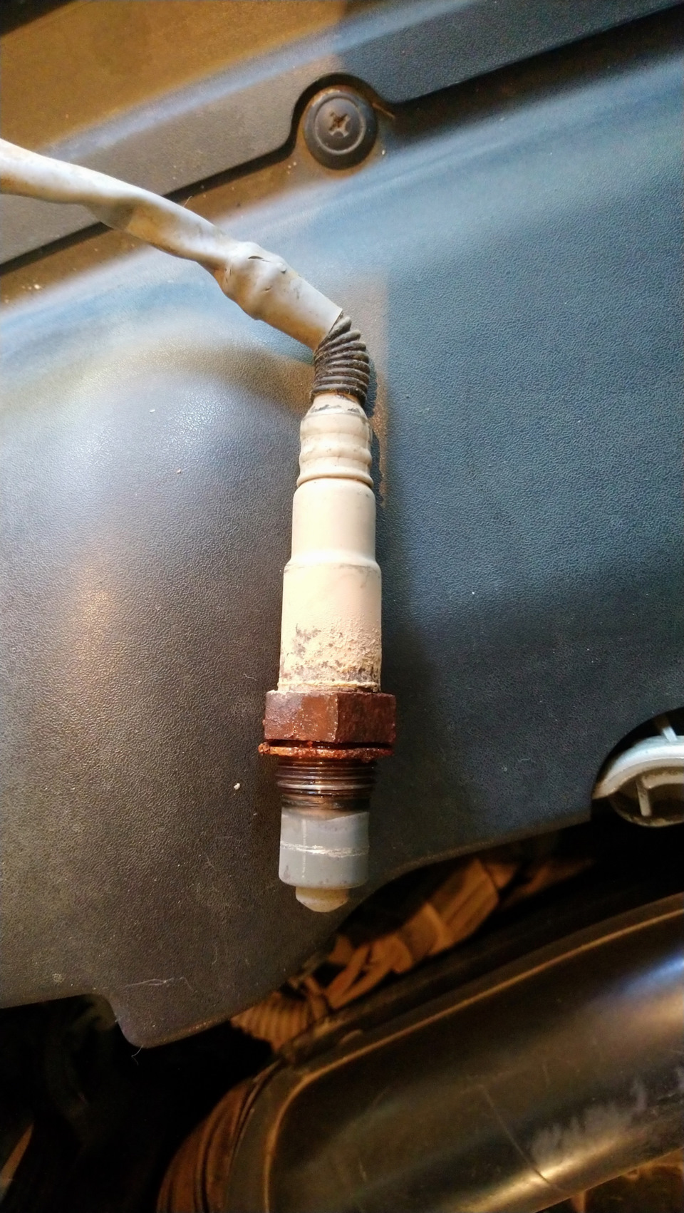 Чистка датчика кислорода 1/1 — Ford Focus II Hatchback, 1,6 л., 2007 ...