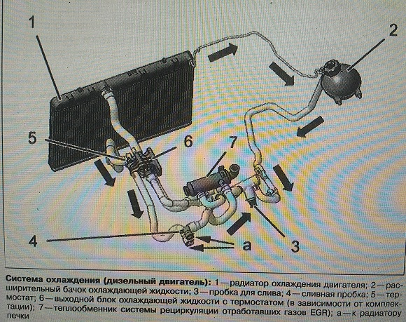 Схема системы охлаждения двигателя ер6 ситроен с4