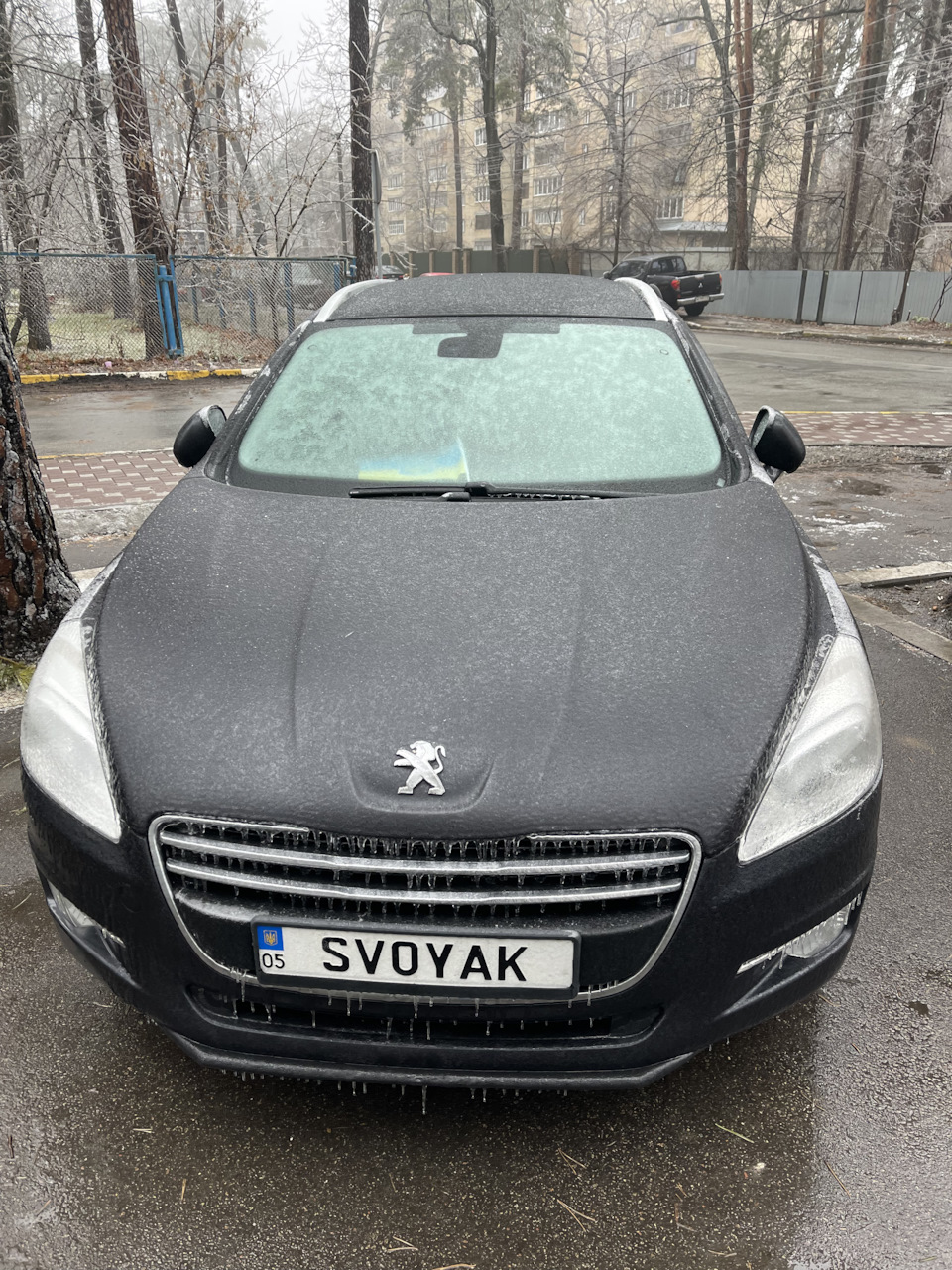 28. Гараж для пыжа. — Peugeot 508 SW (1G), 1,6 л, 2012 года | наблюдение |  DRIVE2