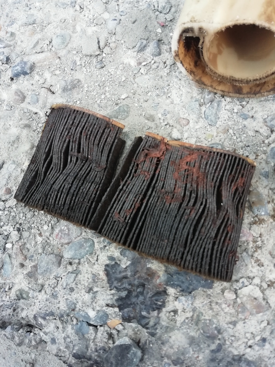 Замена топливного фильтра — Nissan Almera Classic (B10), 1,6 л, 2006 ...