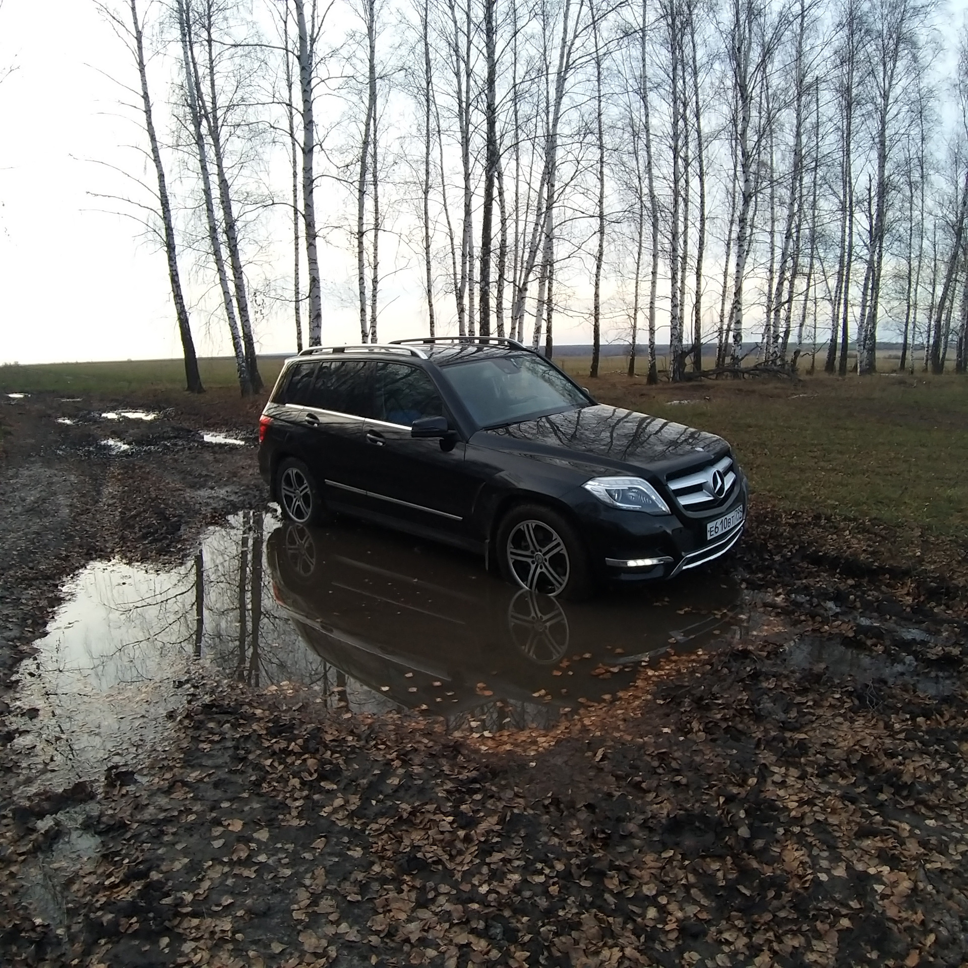 Немного осени - Mercedes-Benz C-class (W204), 1,8 л, 2011 года наблюдение DRIVE2