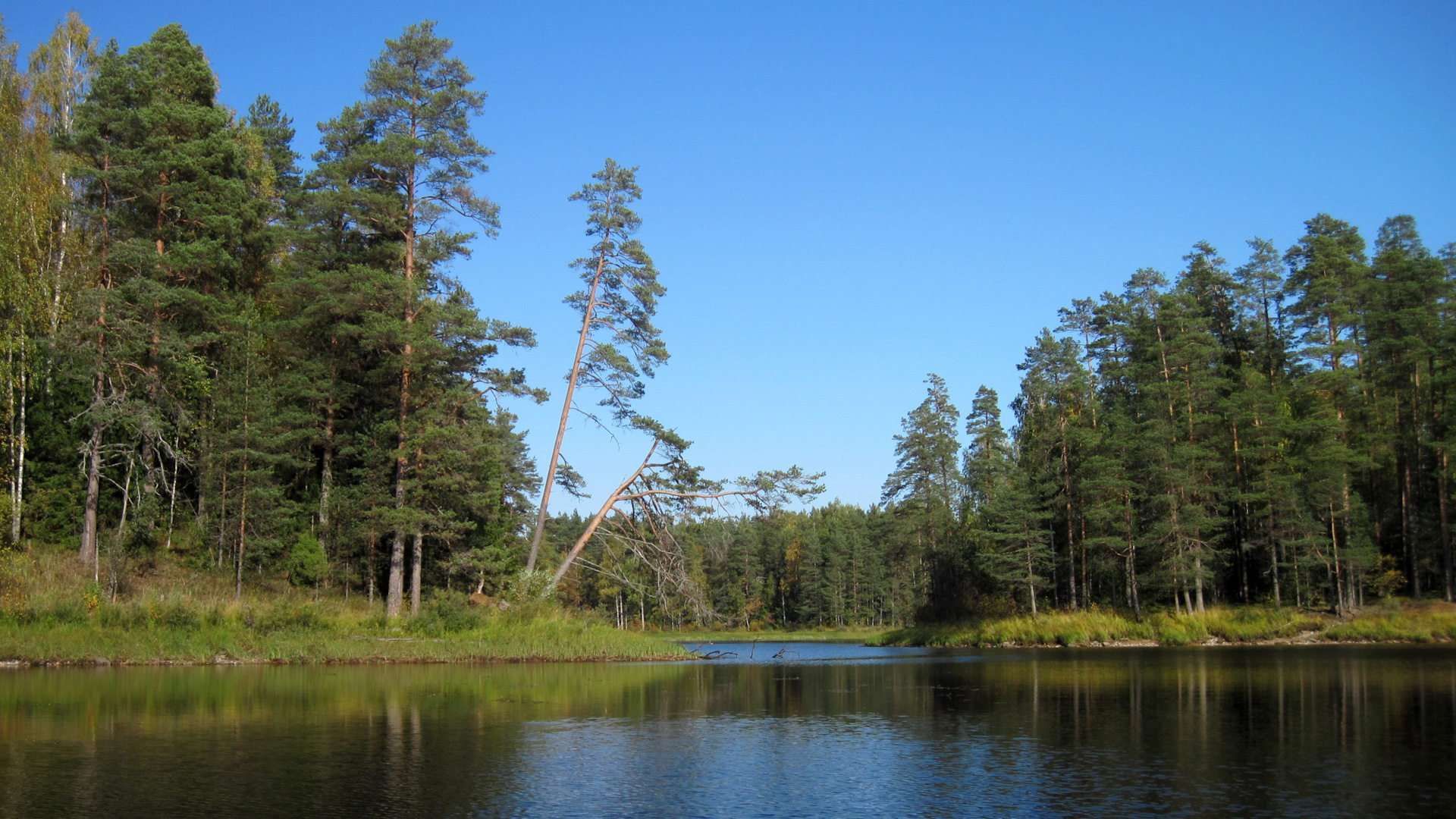 Озеро городно