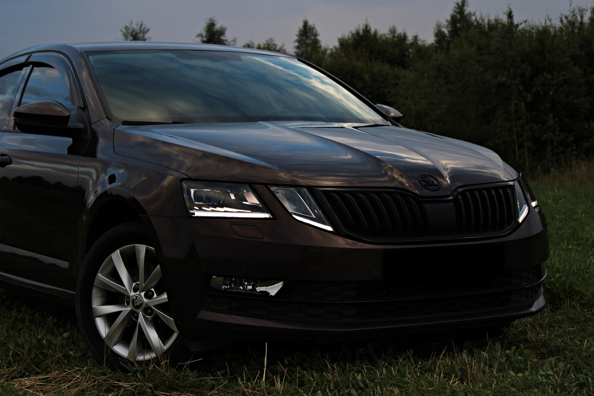 Skoda Octavia Black антихром