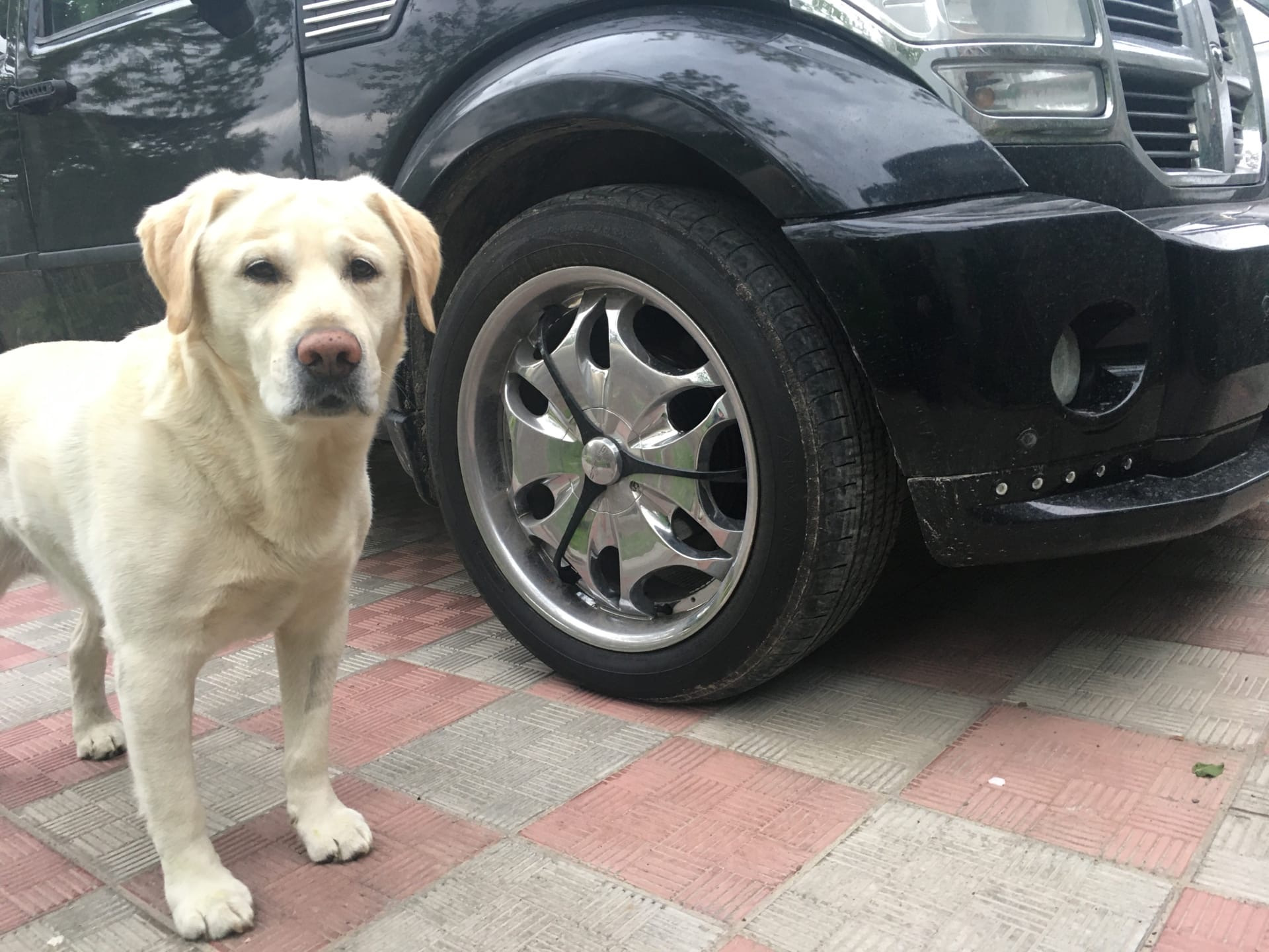 провис бампер — Dodge Nitro, 3,7 л, 2007 года | своими руками | DRIVE2