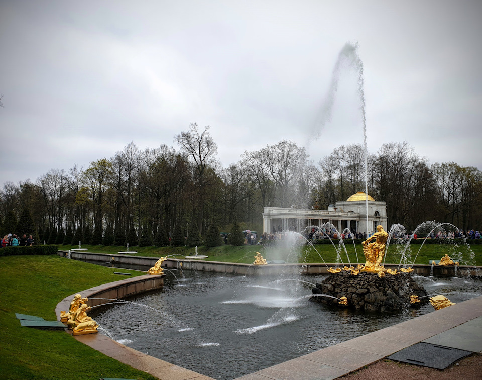 Фото в бортжурнале Audi A4 (B9)