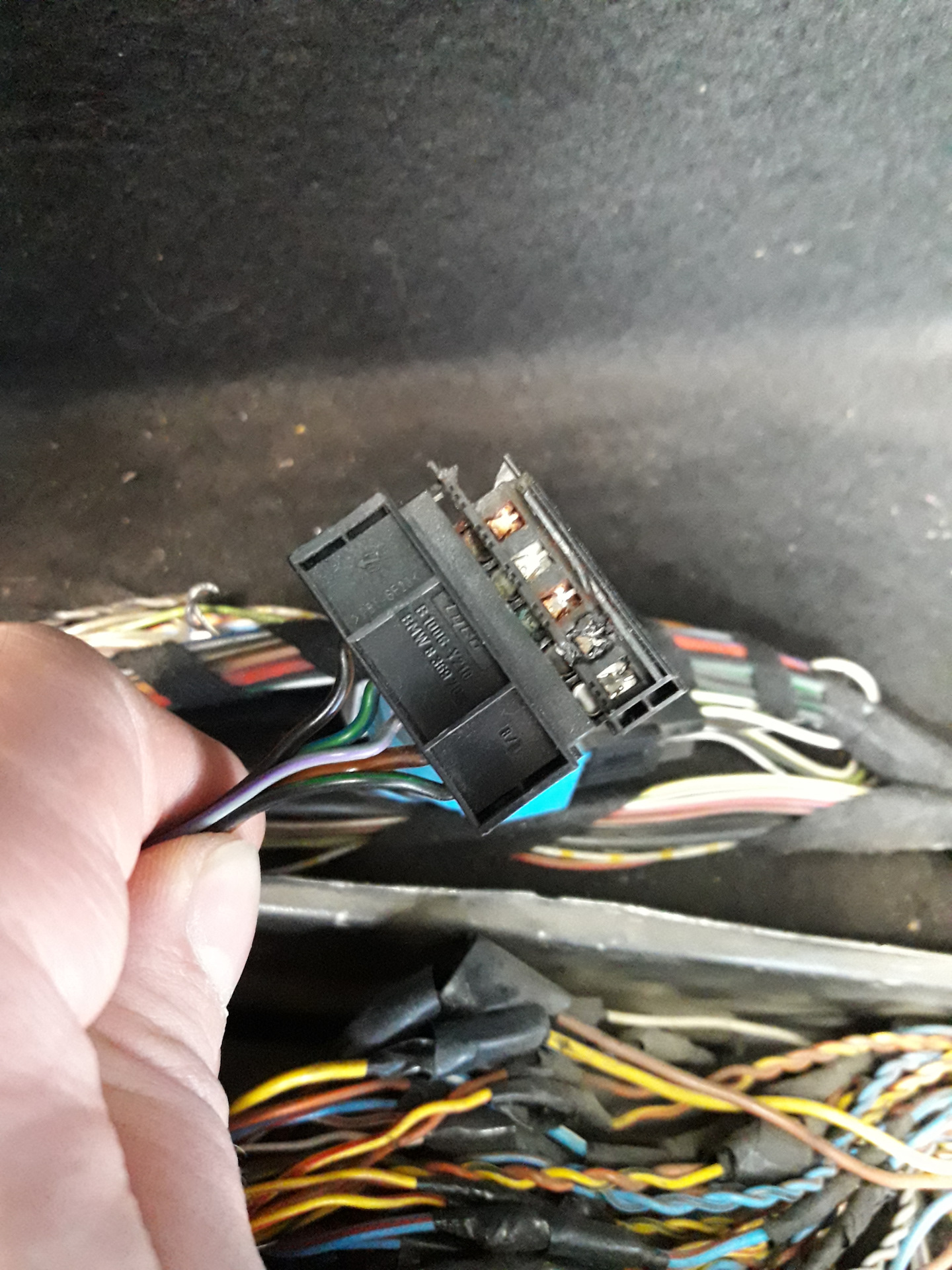 Ошибка check brake lights — BMW X5 (E53), 3 л, 2002 года электроника